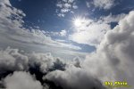 IMG_3961.jpg