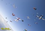 _MG_3657.jpg
